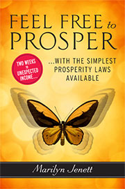 Feel Free to Prosper Book